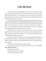 LUẬN VĂN KẾ TOÁN ĐỀ TÀI KẾ TOÁN TỔNG HỢP BẰNG EXCEL