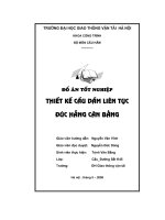 Thiết kế cầu dầm liên tục đúc hẫng cân bằng