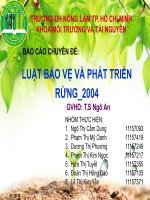 Báo cáo chuyên đề: Luật bảo vệ và phát triển rừng 2004