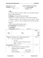 Giáo án tiếng anh 6 chi tiết từ tiết 66   97