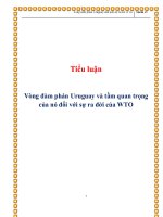 Tiểu luận Vòng đàm phán Uruguay và tầm quan trọng của nó đối với sự ra đời của WTO