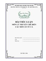 Bài tiểu luận lý thuyết chế biến