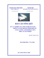 nghiên cứu công nghệ sản xuất giống và nuôi thương phẩm một sô loại cá song (epinephelus spp) phục vụ xuất khẩu