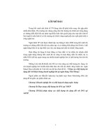 Luận văn nâng cao chất lượng tín dụng đối với khách hàng doanh nghiệp lớn tại ngân hàng tiên phong