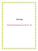 Tiểu luận Tiến trình bình thường hóa quan hệ Việt – Mỹ