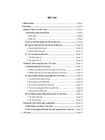 Đề tài thực trạng đôla hoá ở việt nam và giải pháp