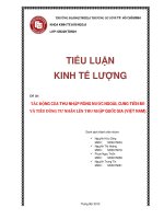 TÁC ĐỘNG CỦA THU NHẬP RÒNG NƯỚC NGOÀI, CUNG TIỀN M1 VÀ TIÊU DÙNG TƯ NHÂN LÊN THU NHẬP QUỐC GIA (VIỆT NAM)