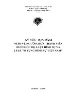 BẢO VỆ NGƯỜI CHƯA THÀNH NIÊN DƯỚI GÓC ĐỘ LUẬT HÌNH SỰ VÀ LUẬT TỐ TỤNG HÌNH SỰ VIỆT NAM