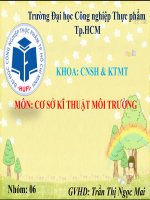 QUÁ TRÌNH TRAO đổi ION