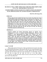 DỰ BÁO LŨ DỰA TRÊN TÍNH TOÁN TRUYỀN SÓNG ĐỘNG HỌC  CỦA CÁC THÀNH PHẦN NGUỒN LŨ