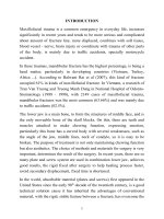 nghiên cứu áp dụng nẹp vít tự tiêu trong điều trị gãy xương hàm dưới bản tóm tắt  tiếng anh