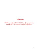 việt nam gia nhập asean và chiến lược tập hợp lực lượng ở đông nam á của việt nam từ năm 1995 đến 2005
