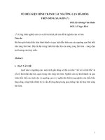 VỀ ĐIỀU KIỆN HÌNH THÀNH CÁC NGƯỠNG CẠN (BÃI BỒI) TRÊN SÔNG SÀI GÒN