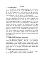 tóm tắt luận án tiến sĩ địa danh có nguồn gốc ngôn ngữ dân tộc thiểu số ở tây thừa thiên huế