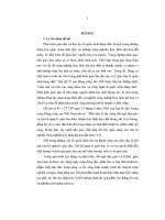 một số giải pháp phát triển đội ngũ cán bộ quản lý trường tiểu học huyện cẩm xuyên tỉnh hà tĩnh