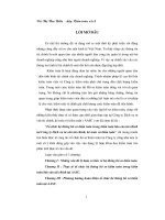 Báo cáo tổ chức hệ thống hồ sơ kiểm toán trong kiểm toán tài chính tại công ty dịch vụ tư vấn tài chính kế toán và kiểm toán