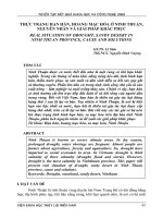 THỰC TRẠNG HẠN HÁN, HOANG MẠC HÓA Ở NINH THUẬN, NGUYÊN NHÂN VÀ GIẢI PHÁP KHẮC PHỤC