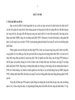 tóm tắt luận án đánh giá sức cản động mạch phổi (pvr) bằng phương pháp siêu âm- doppler tim ở bệnh nhân hẹp hai lá (hhl) khít trước và sau nong van bằng bóng