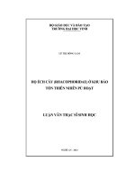 Họ ếch cây (rhacophoridae) ở khu bảo tồn thiên nhiên pù hoạt