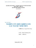 Nghiên cứu điều khiển con lắc ngược tịnh tiến