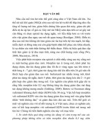 tóm tắt tiếng việt nghiên cứu tác dụng giảm đau bằng phương pháp tiêm morphin có hoặc không kết hợp với sufentanil vào khoang dưới nhện trên bệnh nhân mổ tim hở