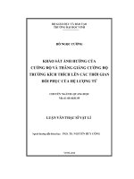 Khảo sát ảnh hưởng của cường độ và thăng giáng cường độ trường kích thích lên các thời gian hồi phục của hệ lượng tử