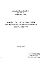 nghiên cứu chế tạo nam châm đất hiếm dùng trong công nghiệp điện và điện tử