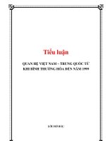 mối quan hệ việt – trung từ khi bình thường hóa quan hệ đến năm 1999