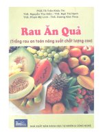 Rau ăn quả Trồng rau an toàn chất lượng cao