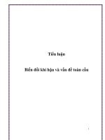 biến đổi khí hậu và vấn đề toàn cầu (2)