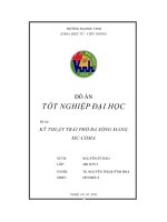 đồ án tốt nghiệp kỹ thuật trải phổ đa sóng mang MC CDMA