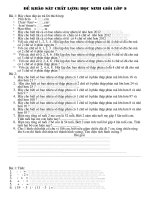 Đề thi khảo sát chất lượng học sinh giỏi lớp 5