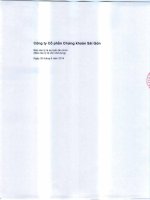 công ty cổ phần chứng khoán sài gòn báo cáo tỷ lệ an toàn tài chính 30 tháng 6 năm 2014