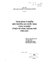 Tình hình ô nhiễm môi trường do nước thải công nghiệp ở một số tỉnh, thành phố phíc Bắc