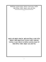 SKKN một số BIỆN PHÁP bồi DƯỠNG CHUYÊN môn CHO đội NGŨ GIÁO VIÊN NHẰM NÂNG CAO CHẤT LƯỢNG GIẢNG dạy ở TRƯỜNG TIỂU học GIA HƯNG