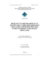 Khảo sát các phương pháp xử lý nguyên liệu và biện pháp kiểm soát chất lượng ảnh hưởng đến chất lượng sản phẩm cá tra fillet đông lạnh
