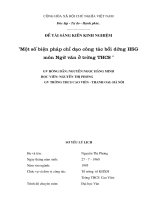 skkn: một số biện pháp chỉ đạo công tác bồi dưỡng học sinh giỏi môn ngữ văn ở trường trung học cơ sở