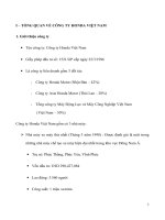 quản trị chiến lược của honda