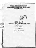 Vỏ phong hóa miền Bắc Việt Nam tỷ lệ 1 500.000