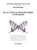 Dự án ươm tạo doanh nghiệp vườn bướm