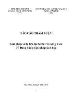 báo cáo giải pháp xử lý bèo lục bình trên sông vàm cổ đông bằng biện pháp sinh học