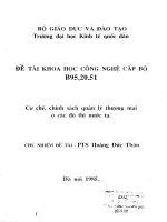 Cơ chế, quản lý chính sách thương mại đô thị ở nước ta