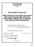 Biện pháp bảo vệ quyền lợi người tiêu dùng trong điều kiện hội nhập kinh tế Quốc Tế và thương mại theo cơ chế thị trường