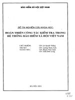 Hoàn thiện công tác kiểm tra trong hệ thống bảo hiểm xã hội Việt Nam