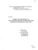 Nghiên cứu ảnh hưởng của hóa chất bảo vệ thực vật đến một số hệ IZOZYM ở người tiếp xúc trực tiếp