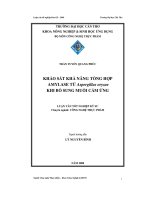 Khảo sát khả năng tổng hợp amylase từ aspergillus oryzae khi bổ sung muối cảm ứng