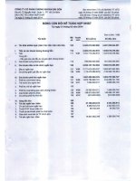 công ty cổ phần chứng khoán sài gòn bảng cân đối kế toán hợp nhất báo cáo lưu chuyển tiền tệ kết quả hoạt động kinh doanh báo cáo tài chính 31 tháng 3 năm 2014