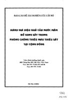 Đánh giá hiệu quả của nước nắm bổ sung sắt trong phòng chống thiếu máu thiếu sắt tại cộng đồng