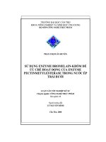 Sử dụng enzyme bromelain  khóm để ức chế hoạt động của enzyme pectinmetylesterase trong nước nước ép trái bưởi