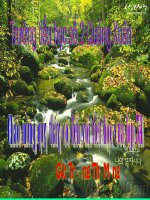 Bài giảng Toán lớp 5 Nhân một số thập phân với một số thập phân